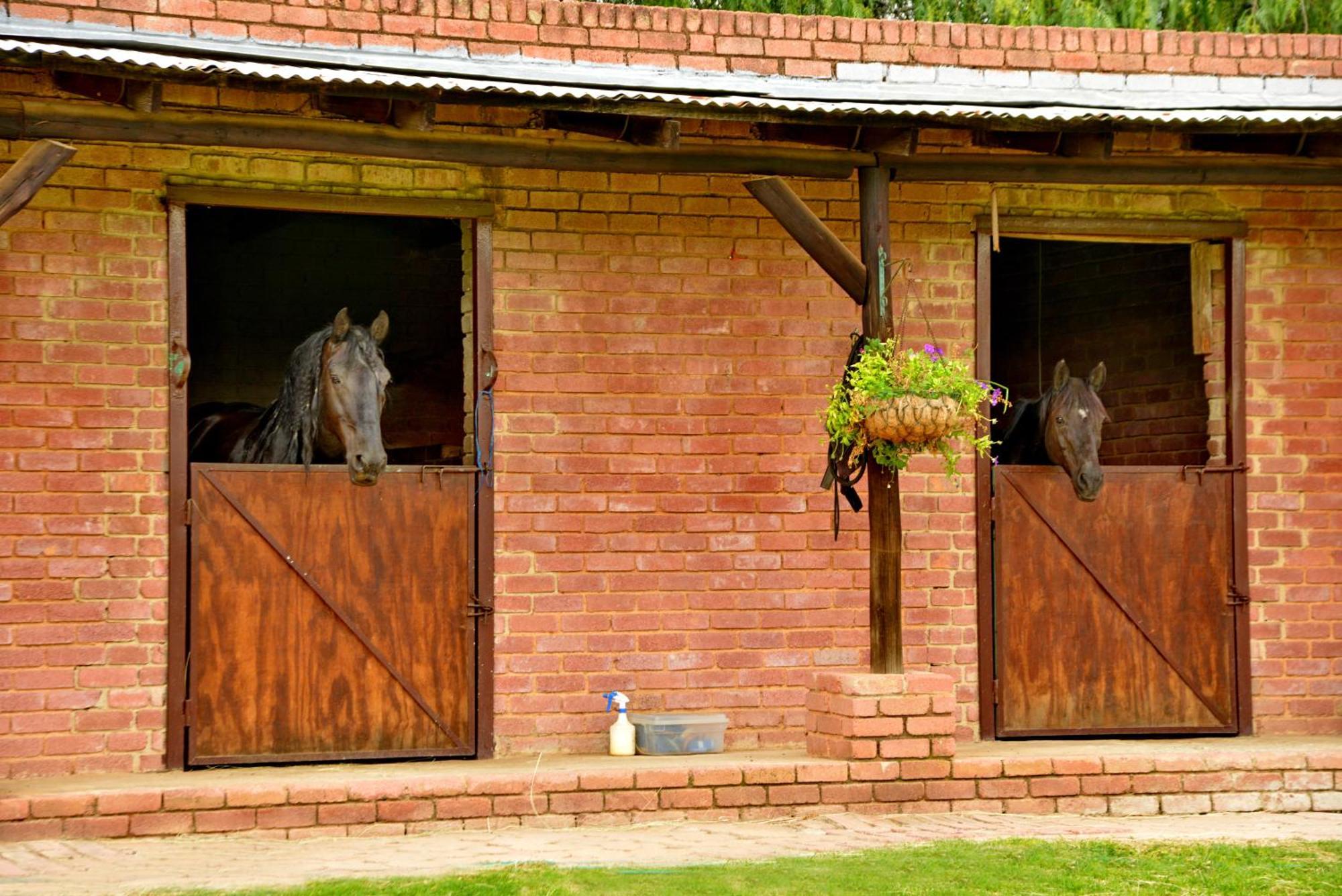 Owls Loft Guest House Midrand Exterior photo